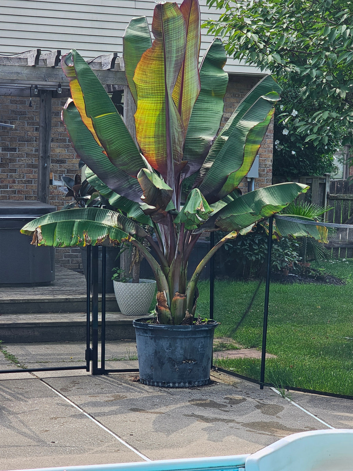 Bottomless Planter Box