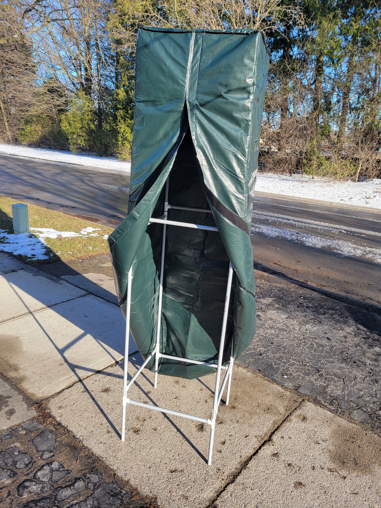 Hardy Palm Winter Cover